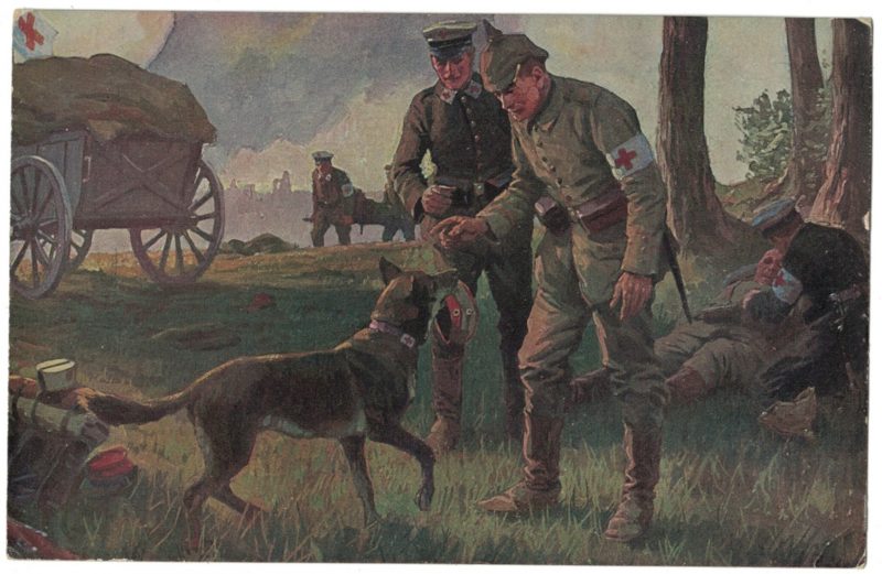 Série 7 Cartes Postale - Armée Allemande en campagne - 14/18 - Uniforme - Bivouac - Croix Rouge - Roten Kreuz