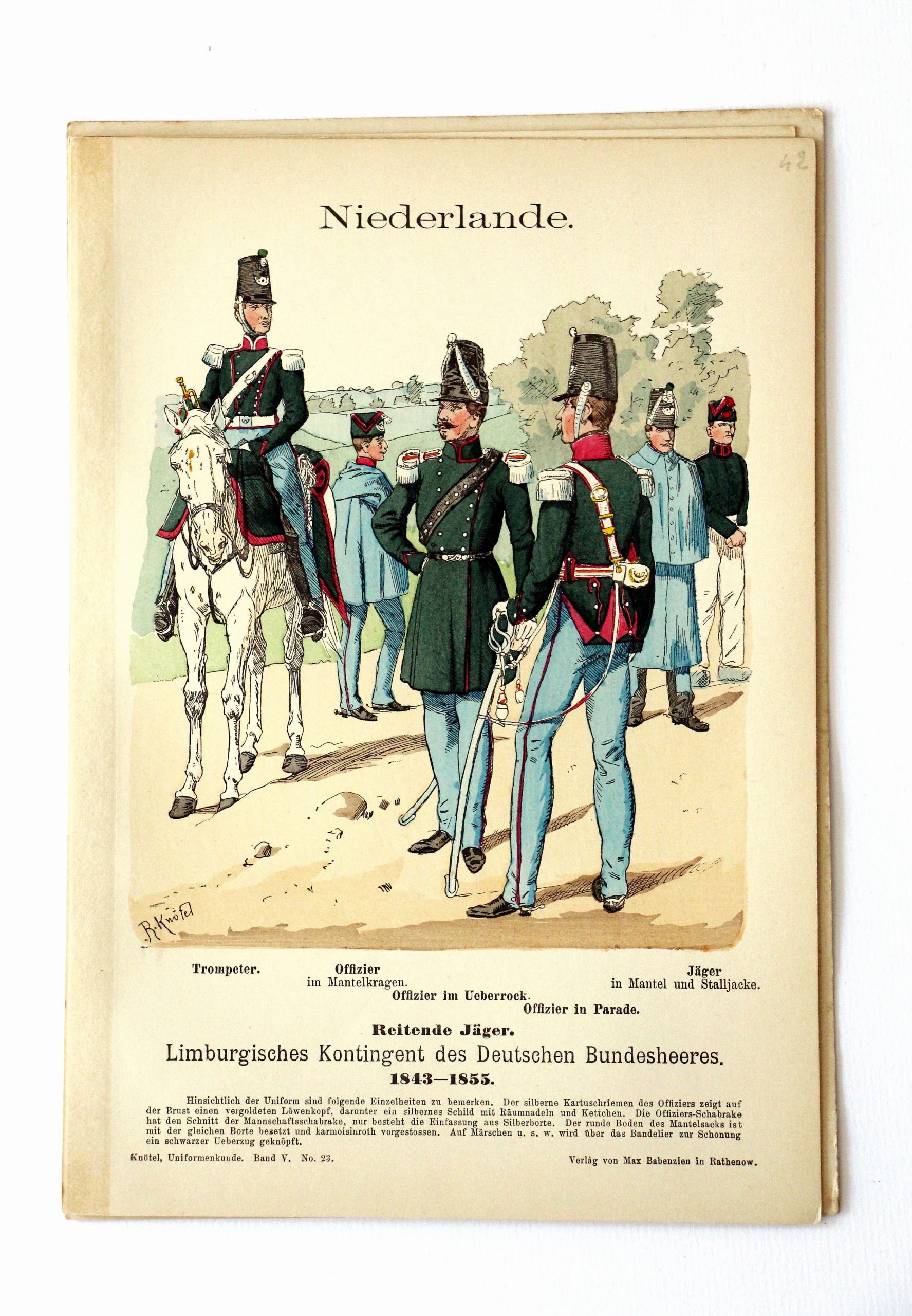 Niederlande- Uniformenkunde - Richard Knoetel - V - Planche 23