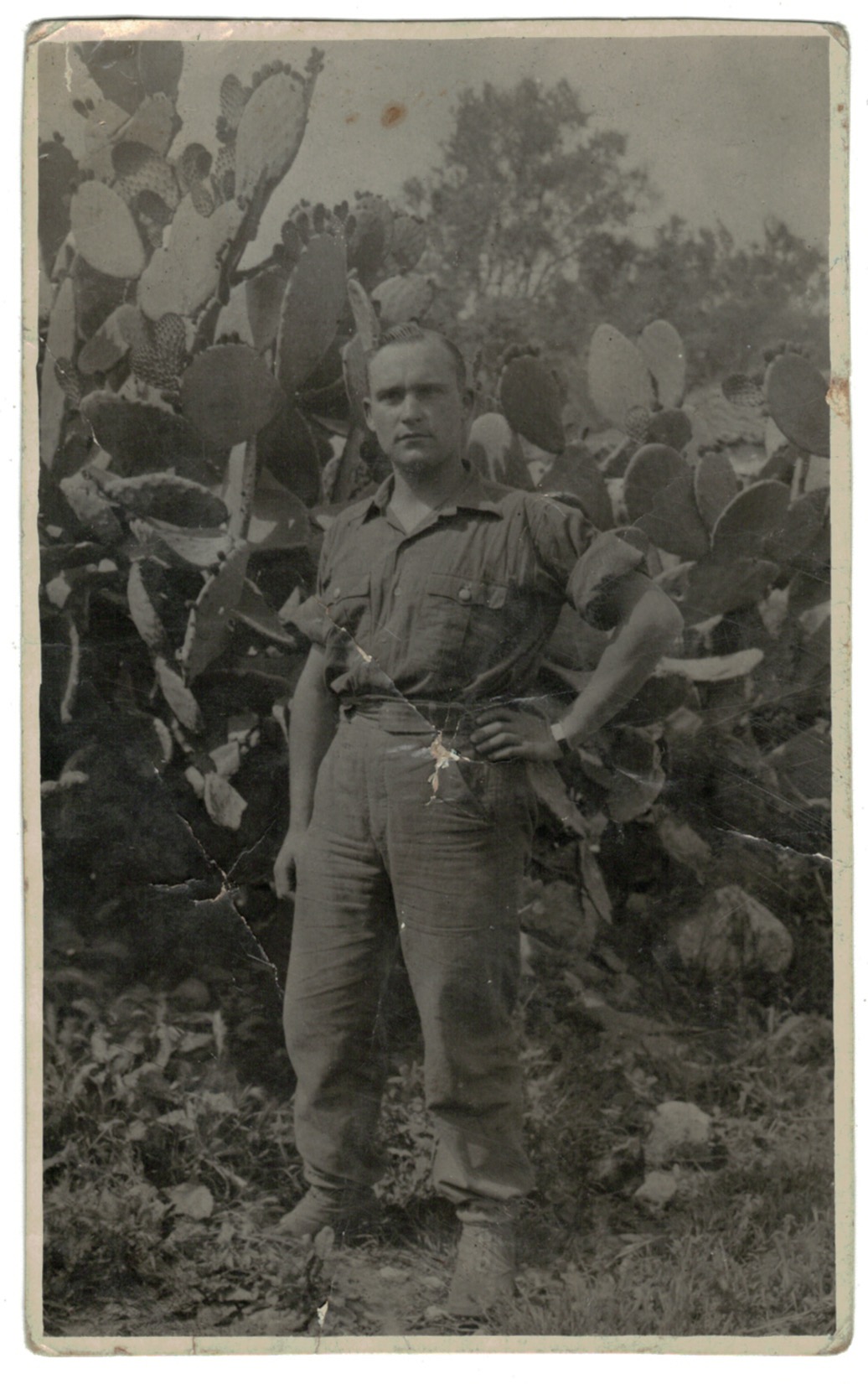 3 Cartes photo Soldat Allemand - Front Afrique 1943 - Deutsches Afrikakorps - Uniforme - Afrique - Werhmarcht