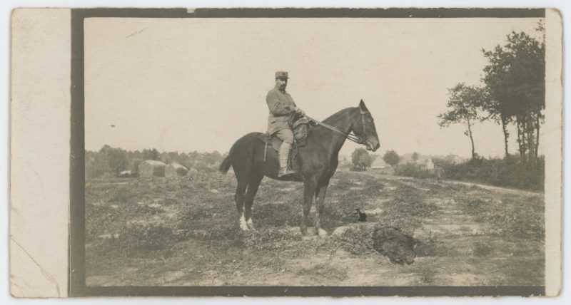 8 Photos papier originale - Poilu - Territorial - Service 1915 - Guerre 14/18 - 44éme Régiment - Estafette - Armée Française