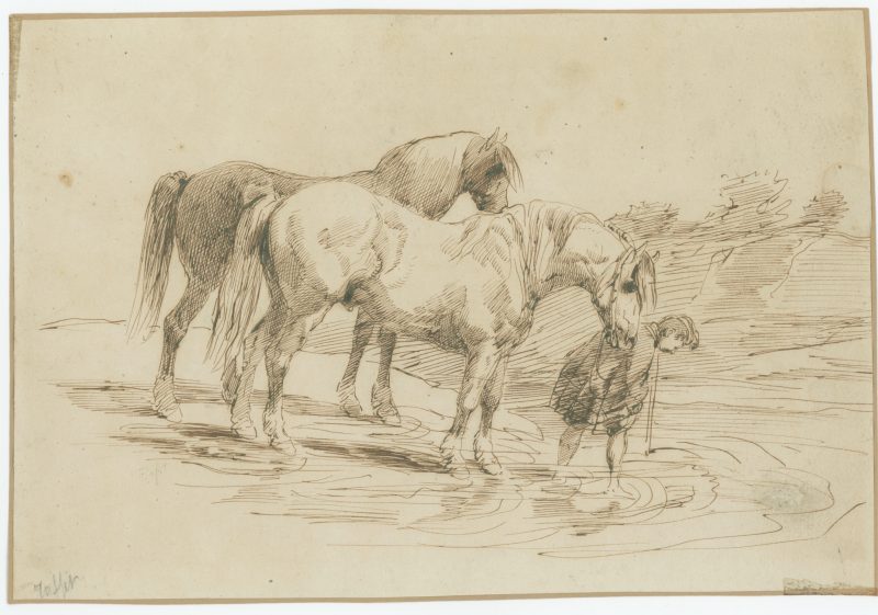Dessin plume - Chevaux à la rivière - Raffet - 1840 - Uniforme - Monarchie de juillet - Hussard - Plume sépia