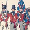 Planche 54 - Heer Und Tradition - Hans Bauer - Uniforme - Englische Infanterie - 1800 -1815 - Die Historische Uniformierung