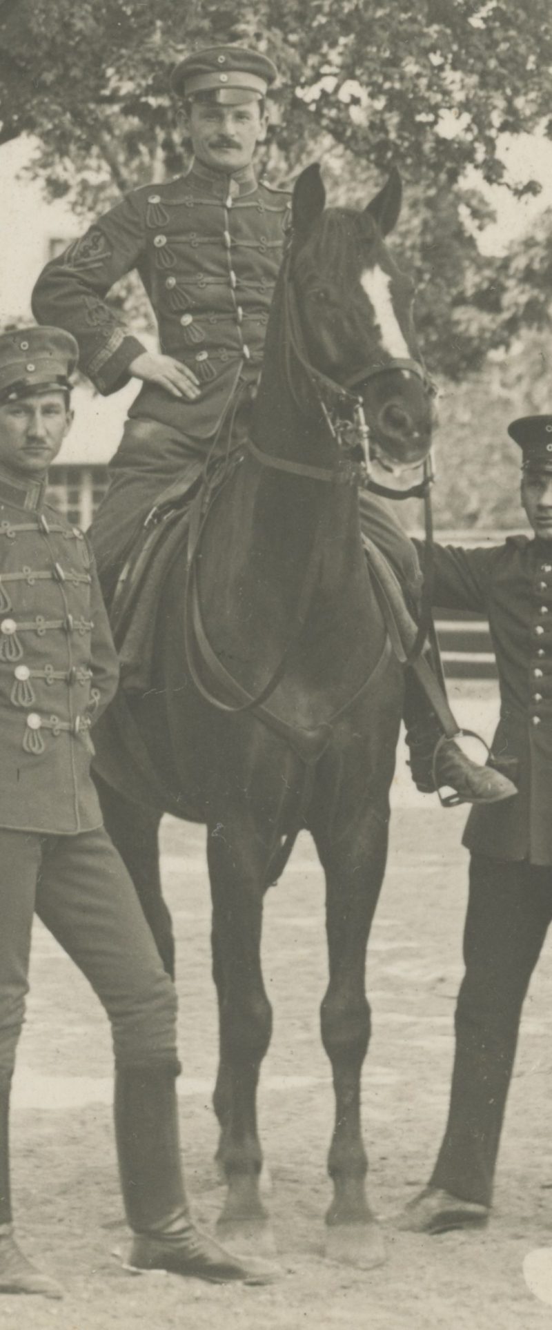 Carte Ancienne Photographie - Guerre 14/18 - Armée Allemande - Hussards - Alsaciens - Conscription - Prusse Campagne 1914/1918 - Croix de Guerre