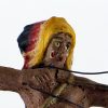 Figurine En Composition Indien Plume Western Etats Unis Plaine
