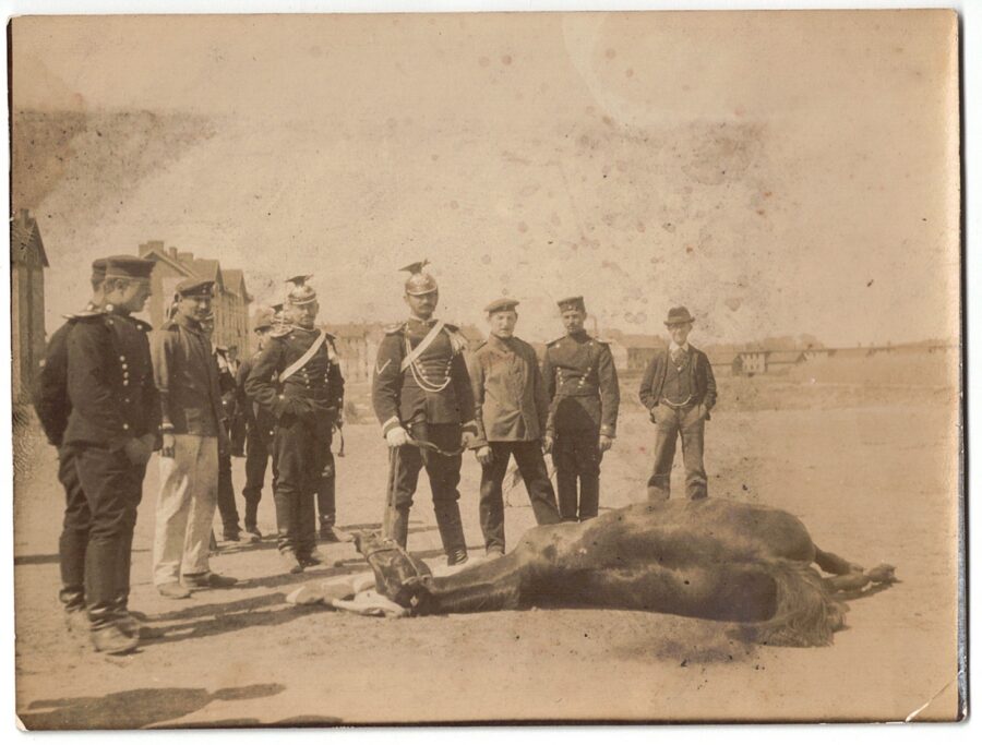 Photographie Albuminée – Uhlan – Quartier – Thüringisches Ulanen-Regiment Nr. 6 – Uniforme – Chevaux – Prusse – Armée Allemande – 1898 – Exercice
